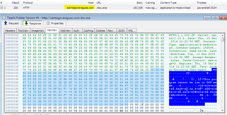 downloaded executable